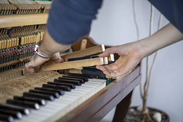 Your Ultimate Guide to Piano Tuning and Repair in San Antonio