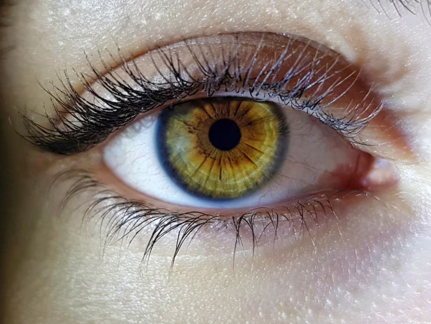 Where to Buy Contacts Online: Compare Providers, Safety, and a Practical Checklist