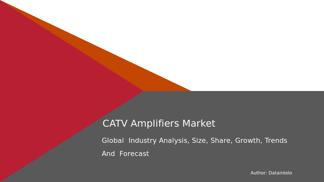 CATV Amplifiers Market Key Players and Trends 2032