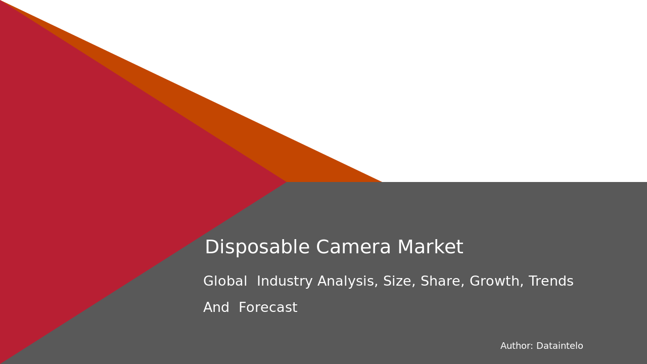 Global Disposable Camera Market Analysis and CAGR Report