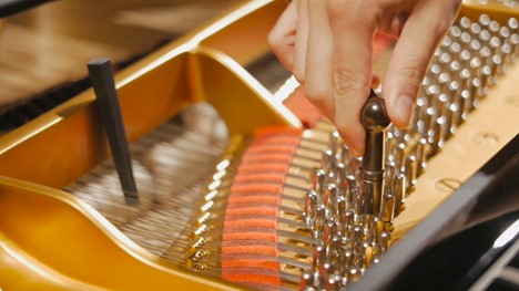 The Soul of Your Sound: Mastering Piano Care, Restoration & Lessons in Austin