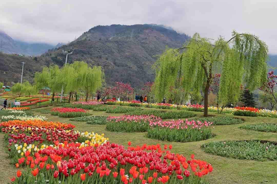Srinagar Local Sightseeing Itinerary &ndash; A Complete Tour Plan