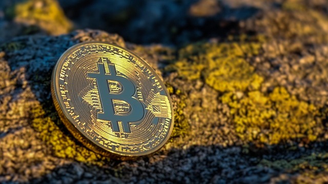 Best Crypto Trading Signals Telegram Group: Top Picks for Success in 2025