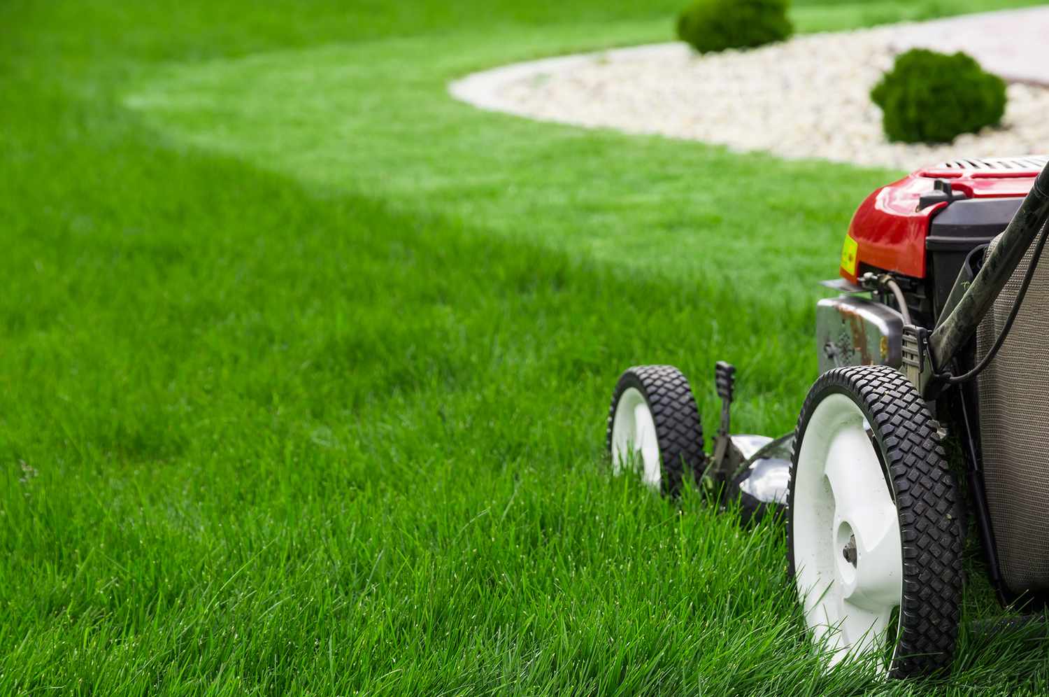 Seasonal Lawn Care Services to Keep Your Grass Looking Great Year-Round