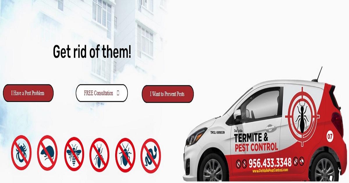Effective Pest Control Solutions in Brownsville: Protecting Your Home and Health