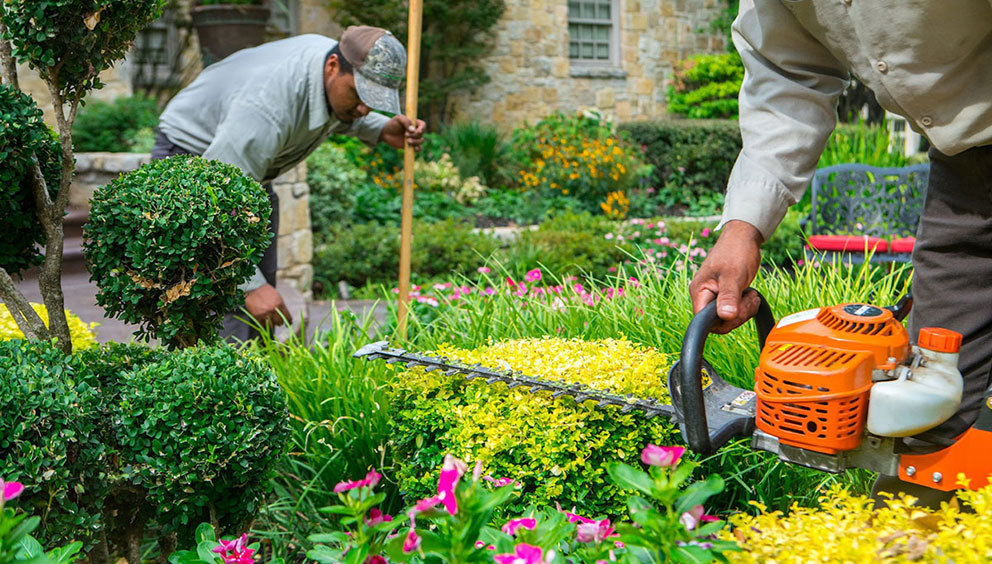 Grow Your Brand with Tampa&rsquo;s Premier Commercial Landscaping