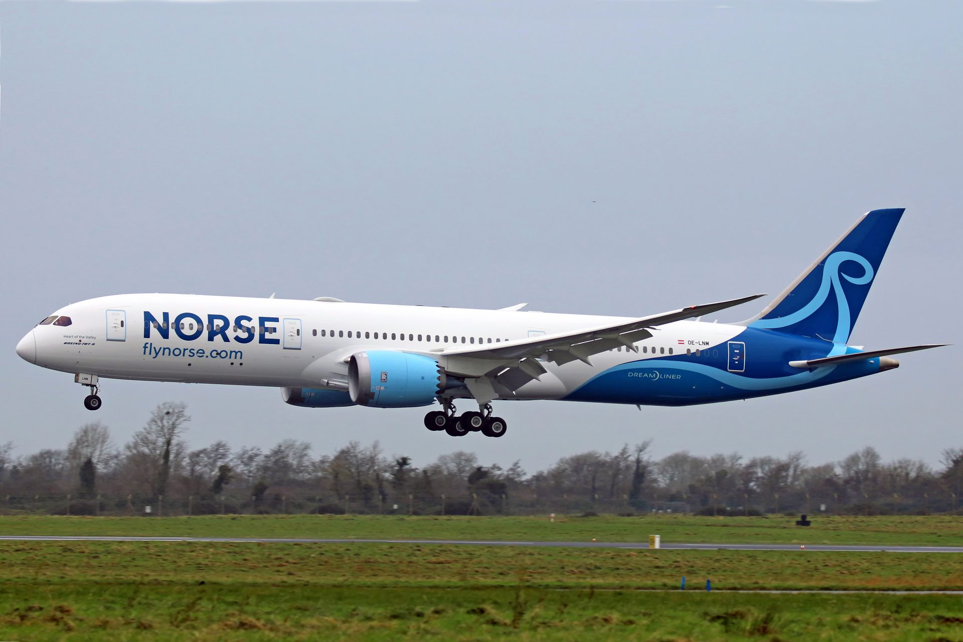 Why Norse Atlantic Airways Is the Budget Airline to Watch in 2025