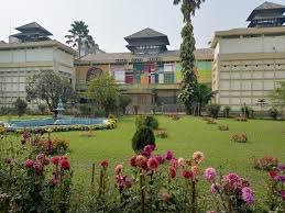 Plan the Perfect Trip with This Assam Itinerary Guide