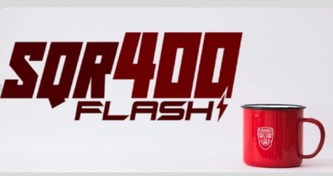 From Download to Flash: How the SQR400 Software Operates