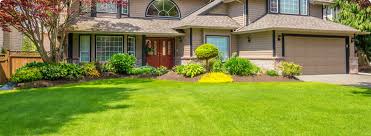 Reimagine Commercial Landscaping in Tampa FL with Innovative Landscaping Services