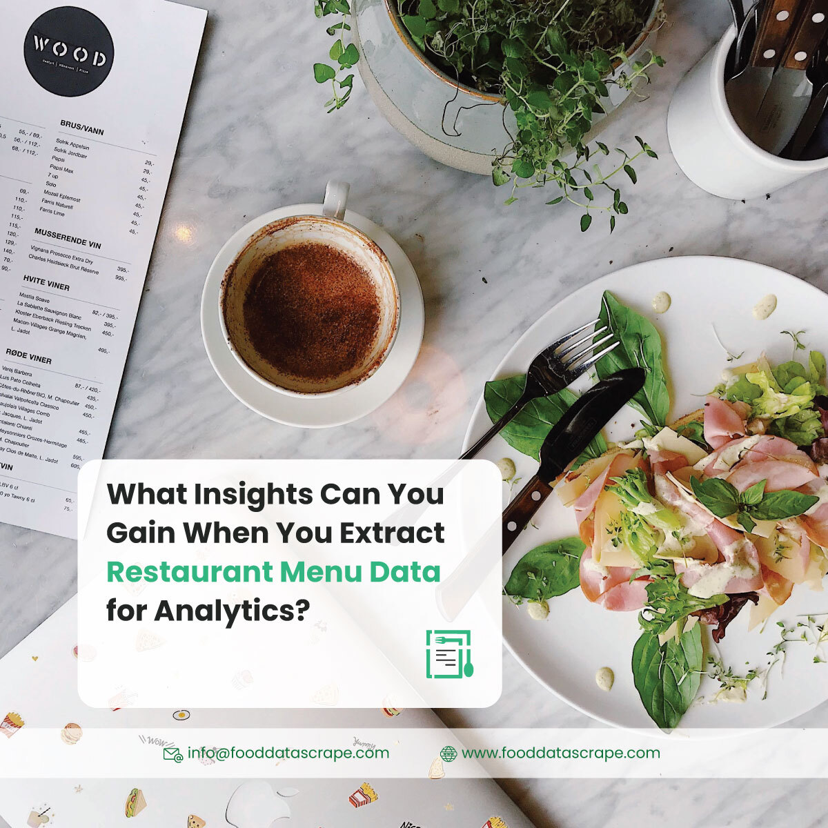 Extract Restaurant Menu Data for Analytics for Insights