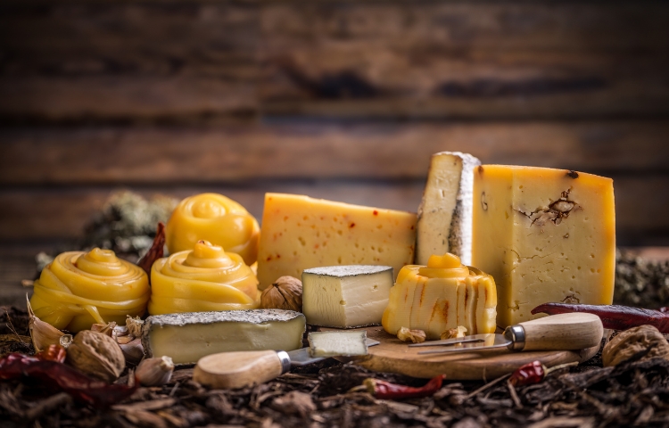 Discover the Flavorful World of Mexico&rsquo;s Cheese Market