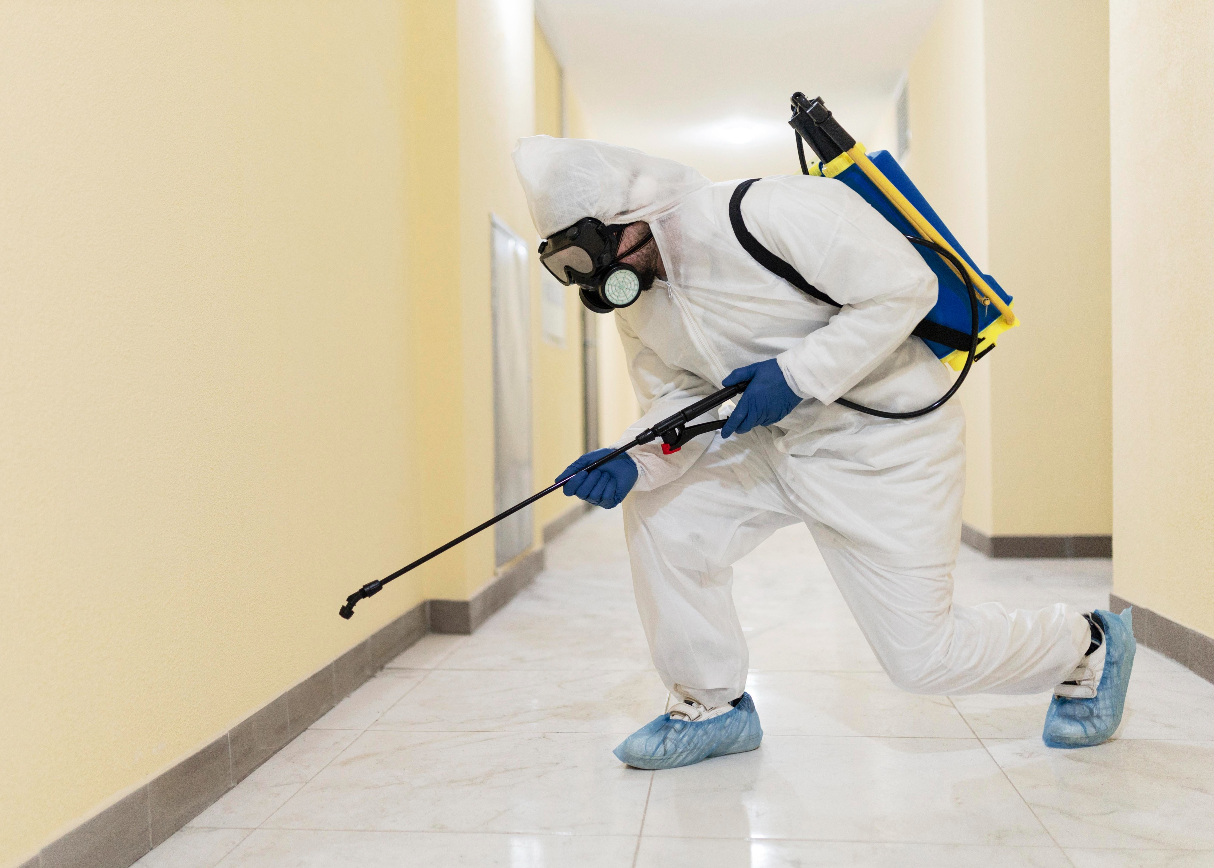 Reliable Pest Control for Commercial Spaces