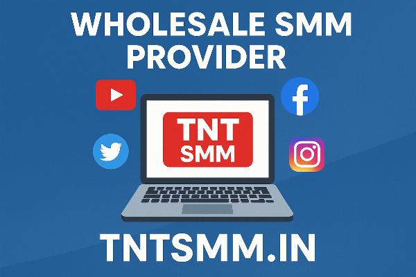 TNT SMM: Your Trusted Wholesale SMM Provider for Scaling Social Media Growth
