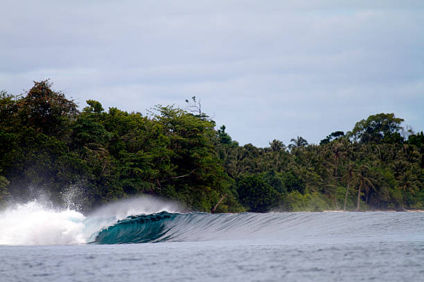 Kandui Villas Resort Mentawai: A Luxury Surf Retreat