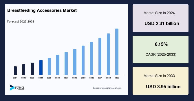 Breastfeeding Accessories Market Snapshot: Key Facts Every Stakeholder Should Know