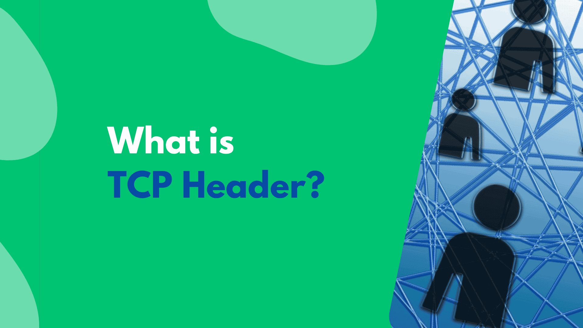 TCP Header vs UDP Header: Clear Differences, Fields, and Practical Use Cases