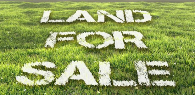 Invest in Thullur Open Plots: Practical Guide to Amaravati Land Investment