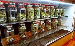 Cheapest Dispensary in Massachusetts: How to Tell If It's Worth the Hype