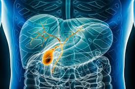 Bile Flow Problems: Causes, Safe Home Treatments, and a Practical Checklist