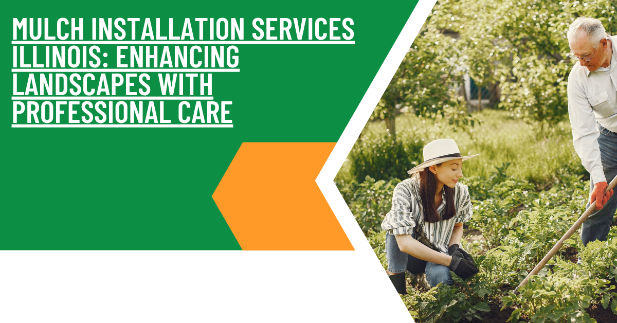 Mulch Installation Services in Illinois: Professional Guide to Types, Costs, and Best Practices