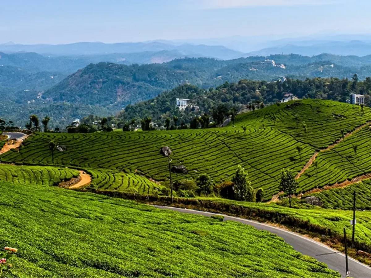 Complete Munnar Tour Guide: Top Sights, Activities & Food in Kerala