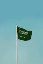How to Apply for a Saudi Arabia eVisa: Complete Step-by-Step Guide