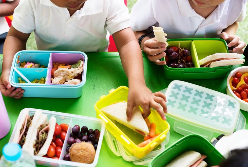 5 Essential Facts About the School Lunch Program USA: What Every Parent and Educator Should Know