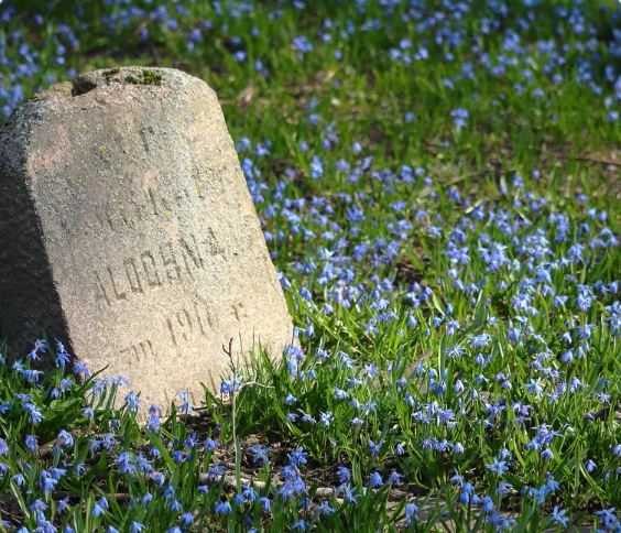 7 Creative Headstones: Unique Memorial Designs for Lasting Elegance