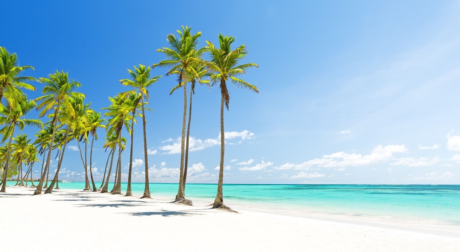Complete Guide to Southwest Airlines Vacation Packages: Booking, Savings, and Flexibility