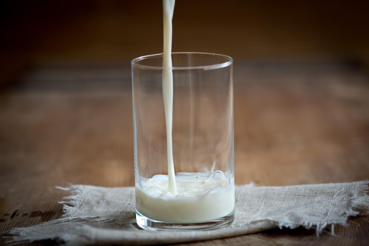 How to Build a Milk Delivery Business: Choose the Right Milk Delivery App