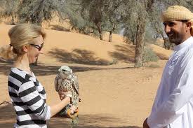 Dubai Falconry Experience with Noble Life