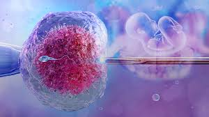 Low AMH and IVF: What Diminished Ovarian Reserve Really Means for Your Fertility Treatment