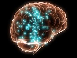Top 10 Brain Health Facts Most People Don’t Know
