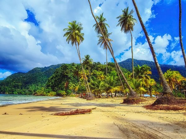 Car Rental Tobago with Finalrentals: Explore the Island Your Way