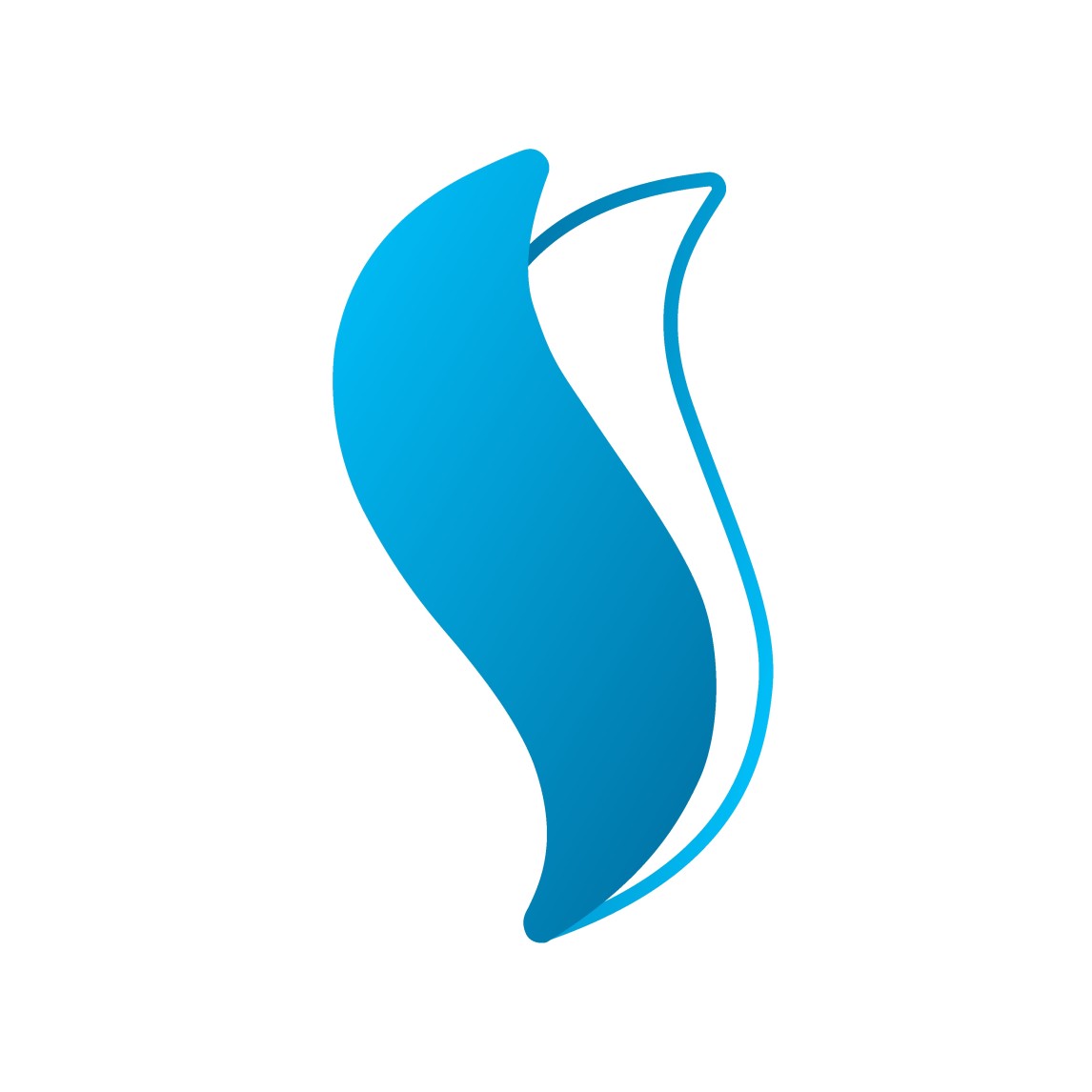 Professional Shopify Development Services ShareSoft Technology