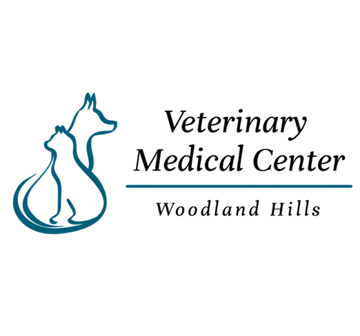 Finding the Right Woodland Hills Veterinarian for Your Pet’s Lifelong Health