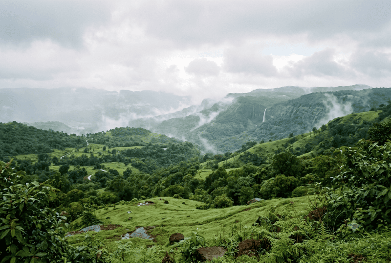 Monsoon Destinations in India That I Personally Love Visiting When the Rains Arrive