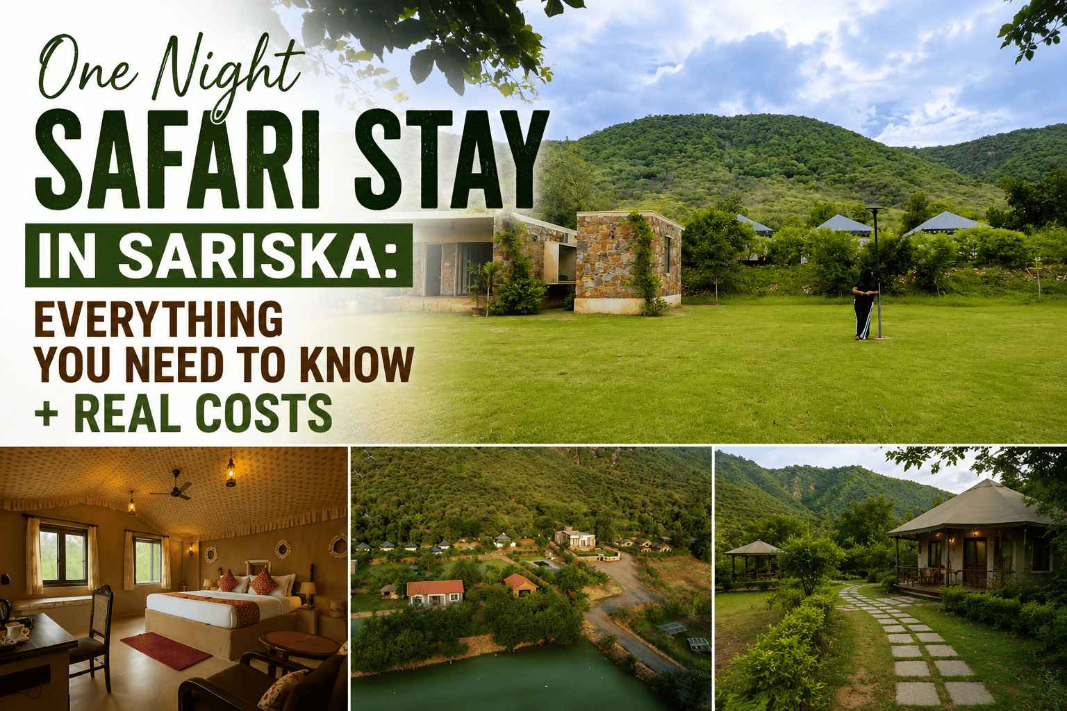 One Night Safari Stay in Sariska: Everything You Need to Know + Real Costs