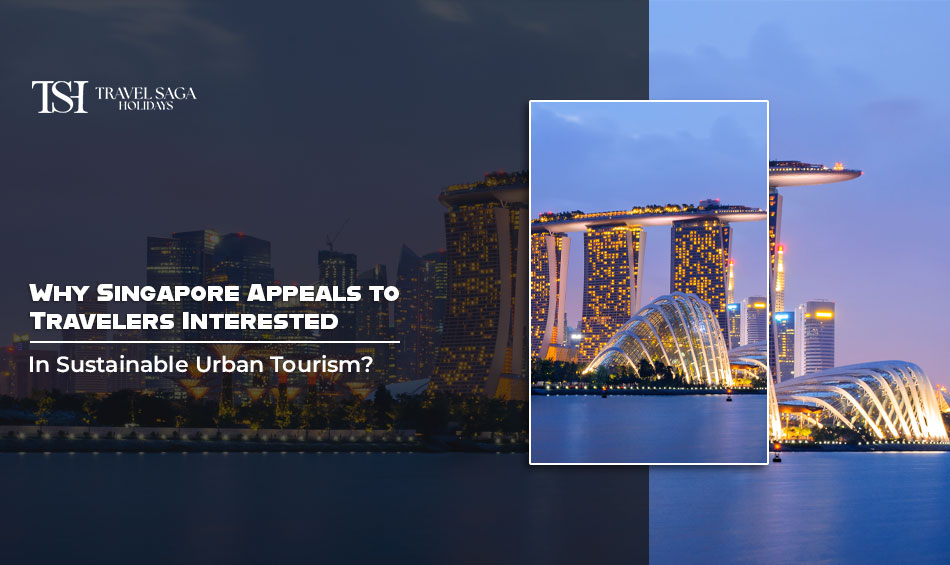 Why Singapore Appeals to Travelers Interested in Sustainable Urban Tourism? 