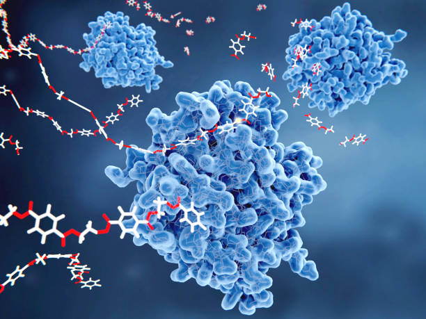 Marine Enzymes Market Competition Analysis: Innovation, Partnerships, and Sustainable Growth Driving Industry Leadership