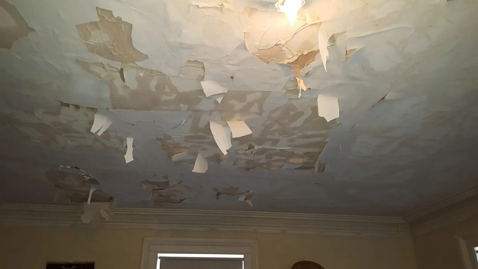 Mold Remediation in Greenwich