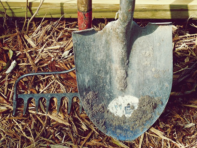How to Choose and Use a Volunteer Management Tool for Disaster Relief