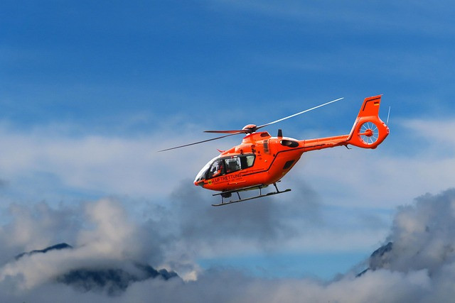 Field Guide: Injured Wildlife First Response Kit and Triage Checklist