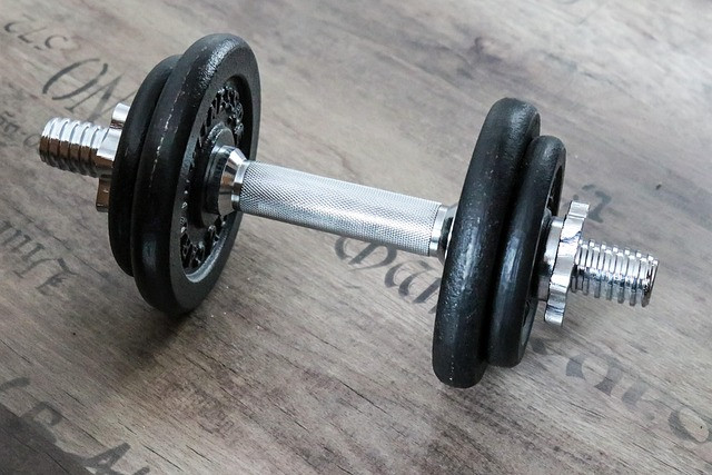 Beginner Weight Training Plan for the Gym: An 8-Week Full‑Body Starter
