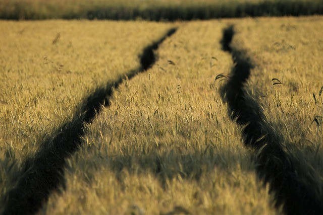 Factory Land Purchase Legal Checklist India in 2026