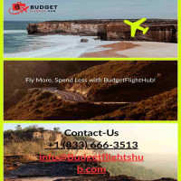 Budgetflightshub