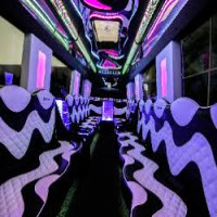 Luxury Party Bus 