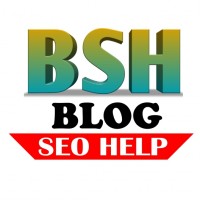blog seo help