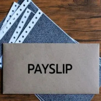 Payslips Plus